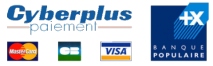 paiement-en-ligne